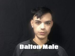 Dalton_Male