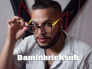 Daminbricksub