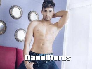 Daneil_torus