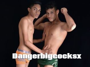 Dangerbigcocksx
