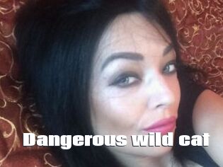 Dangerous_wild_cat