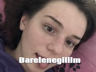 darelenegillim The hot porn