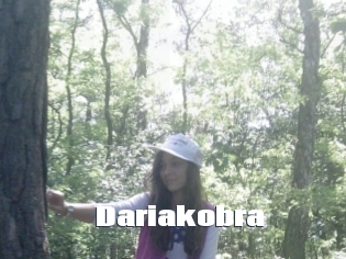 Dariakobra