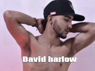 david_harlow The hot porn