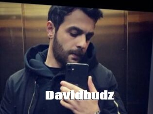 Davidbudz