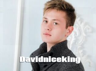 Davidniceking