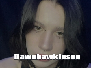Dawnhawkinson