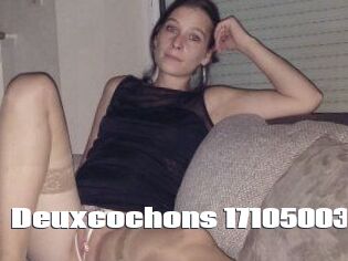 Deuxcochons