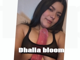 Dhalia_bloom