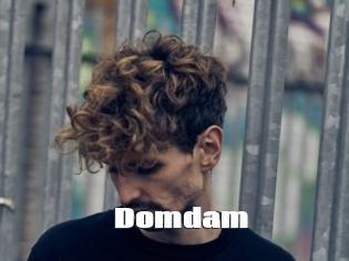 Domdam