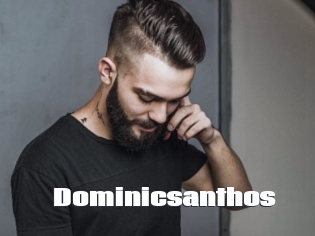 Dominicsanthos