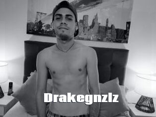Drakegnzlz