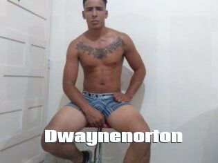Dwaynenorton