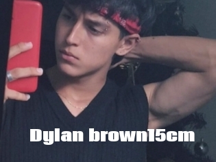 Dylan_brown15cm