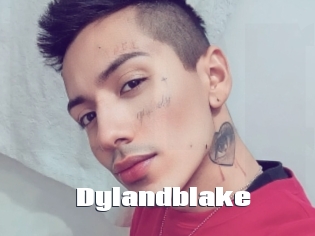 Dylandblake