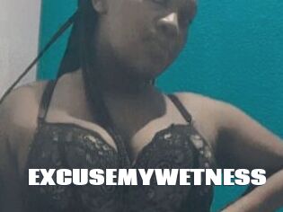 EXCUSEMYWETNESS