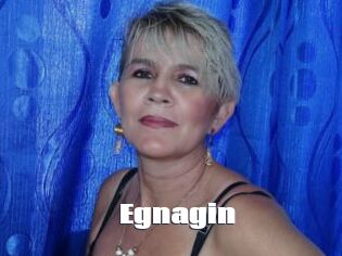 Egnagin