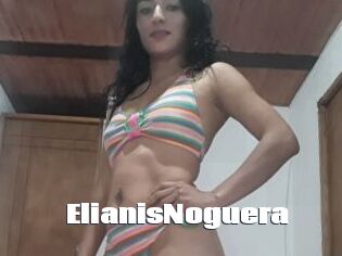ElianisNoguera