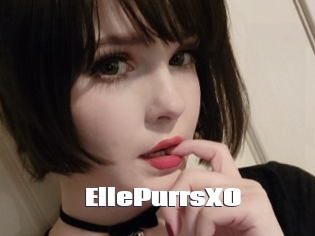EllePurrsXO