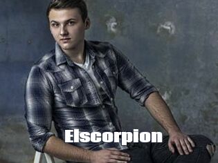 Elscorpion