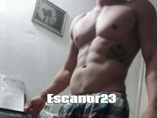 Escanor23