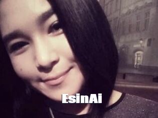 EsinAi