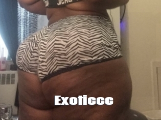 Exoticcc The hot porn