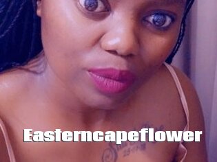 Easterncapeflower