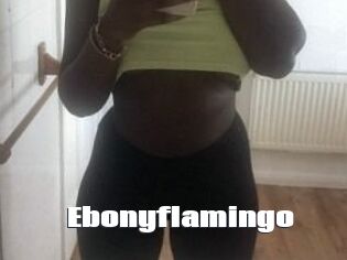 Ebony_flamingo