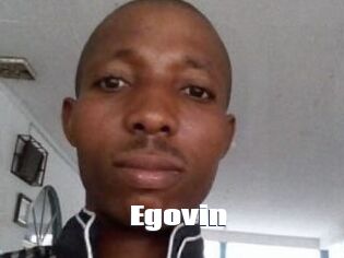 Egovin