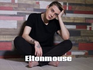 Eitonmouse