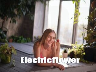 Electricflower