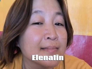 Elenatin