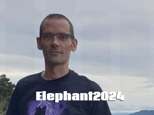 Elephant2024