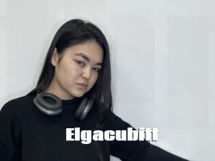 Elgacubitt