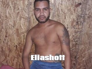 Eliashott