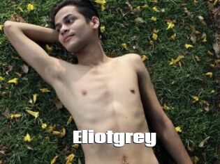 Eliotgrey