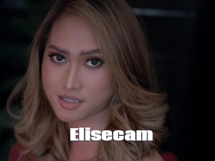 Elisecam
