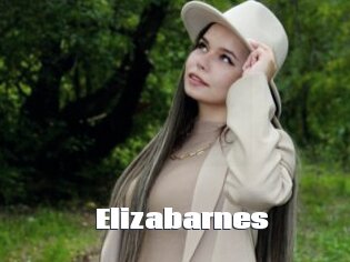 Elizabarnes