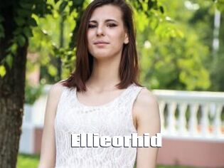 Ellieorhid