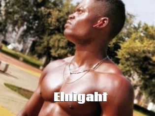 Elnigaht