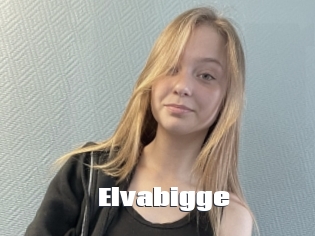 Elvabigge