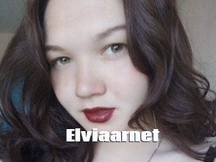 Elviaarnet