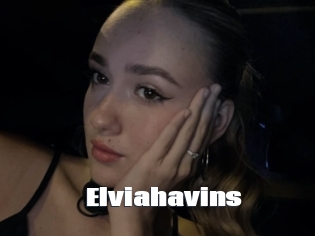 Elviahavins