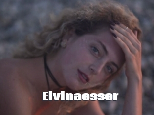Elvinaesser