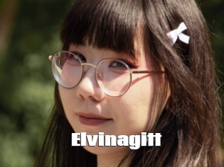 Elvinagitt
