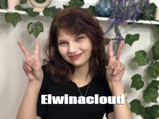 Elwinacloud