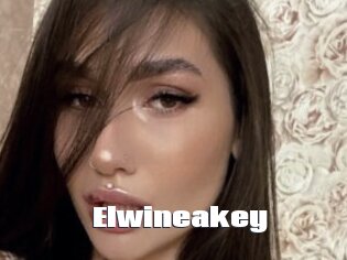 Elwineakey