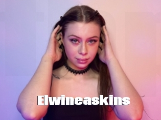 Elwineaskins