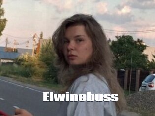 Elwinebuss